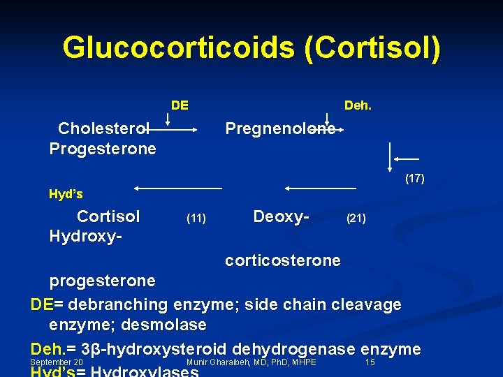 Glucocorticoids (Cortisol) DE Cholesterol Progesterone Deh. Pregnenolone (17) Hyd’s Cortisol Hydroxy- (11) Deoxy- (21)
