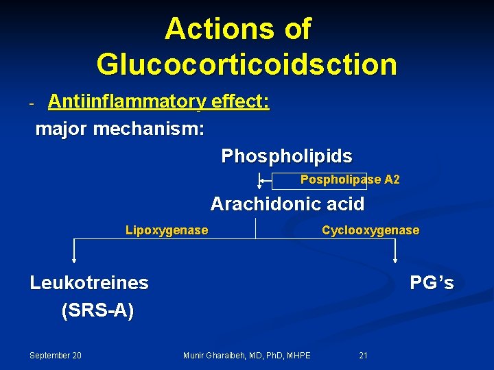 Actions of Glucocorticoidsction - Antiinflammatory effect: major mechanism: Phospholipids Pospholipase A 2 Arachidonic acid