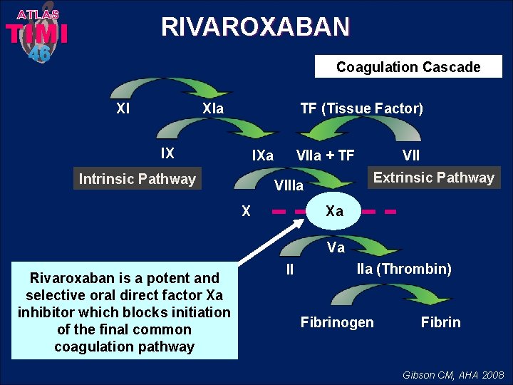 ATLAS RIVAROXABAN TIMI 46 Coagulation Cascade TF (Tissue Factor) XIa XI IX IXa Intrinsic