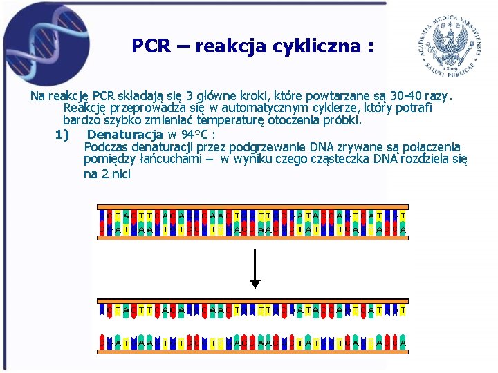 PCR – reakcja cykliczna : Na reakcję PCR składają się 3 główne kroki, które