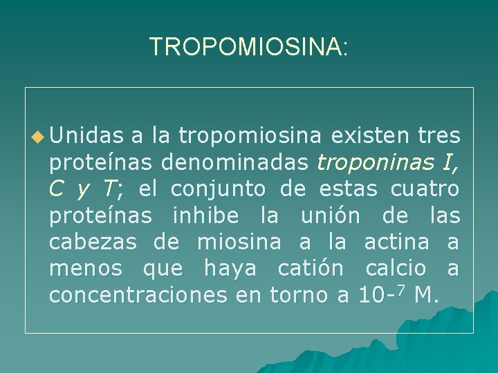 TROPOMIOSINA: u Unidas a la tropomiosina existen tres proteínas denominadas troponinas I, C y