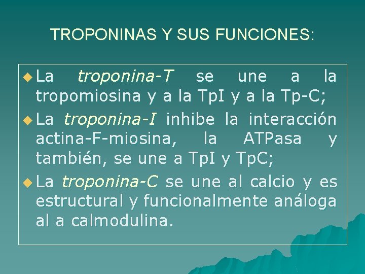 TROPONINAS Y SUS FUNCIONES: u La troponina-T se une a la tropomiosina y a