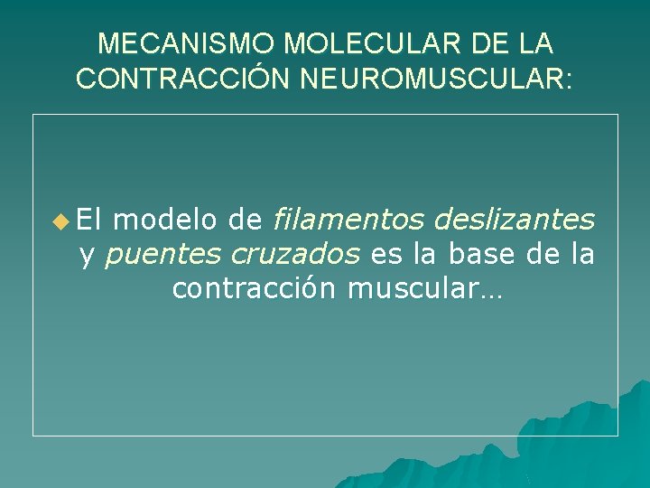 MECANISMO MOLECULAR DE LA CONTRACCIÓN NEUROMUSCULAR: u El modelo de filamentos deslizantes y puentes