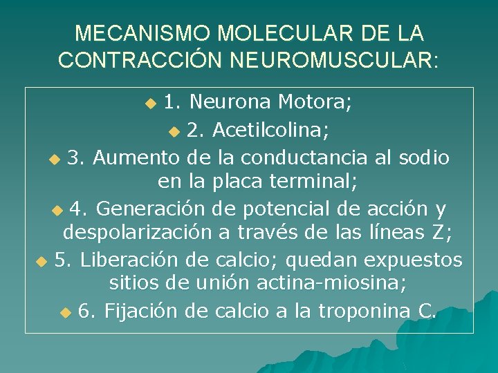 MECANISMO MOLECULAR DE LA CONTRACCIÓN NEUROMUSCULAR: 1. Neurona Motora; u 2. Acetilcolina; u 3.