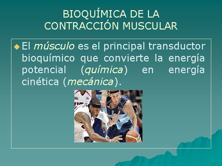 BIOQUÍMICA DE LA CONTRACCIÓN MUSCULAR u El músculo es el principal transductor bioquímico que