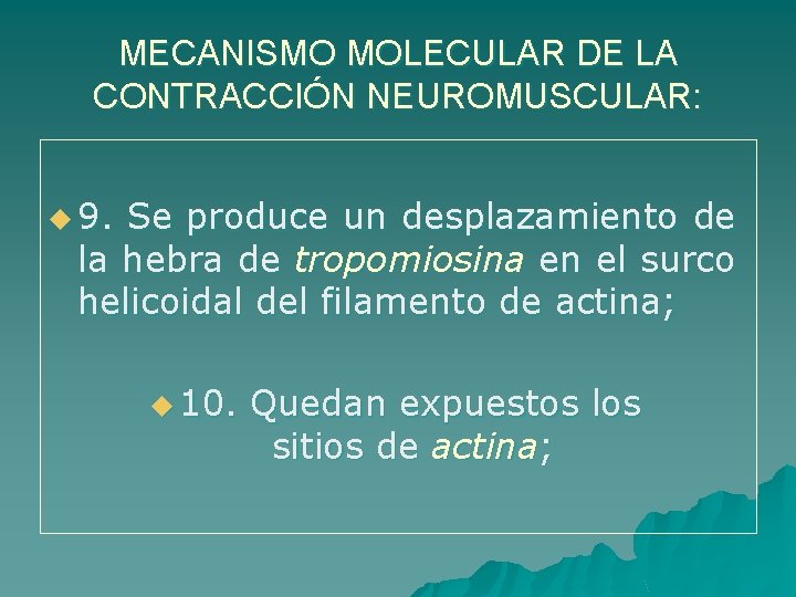 MECANISMO MOLECULAR DE LA CONTRACCIÓN NEUROMUSCULAR: u 9. Se produce un desplazamiento de la