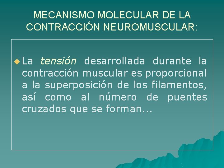 MECANISMO MOLECULAR DE LA CONTRACCIÓN NEUROMUSCULAR: u La tensión desarrollada durante la contracción muscular