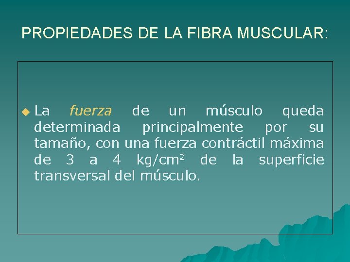 PROPIEDADES DE LA FIBRA MUSCULAR: u La fuerza de un músculo queda determinada principalmente