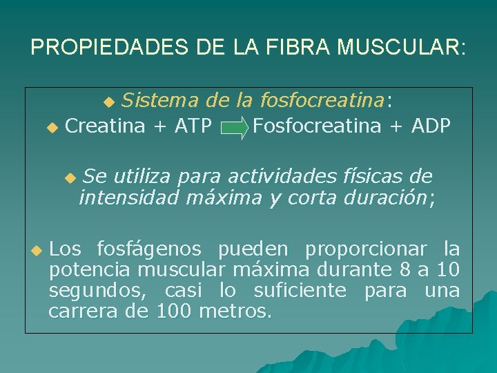 PROPIEDADES DE LA FIBRA MUSCULAR: Sistema de la fosfocreatina: u Creatina + ATP Fosfocreatina