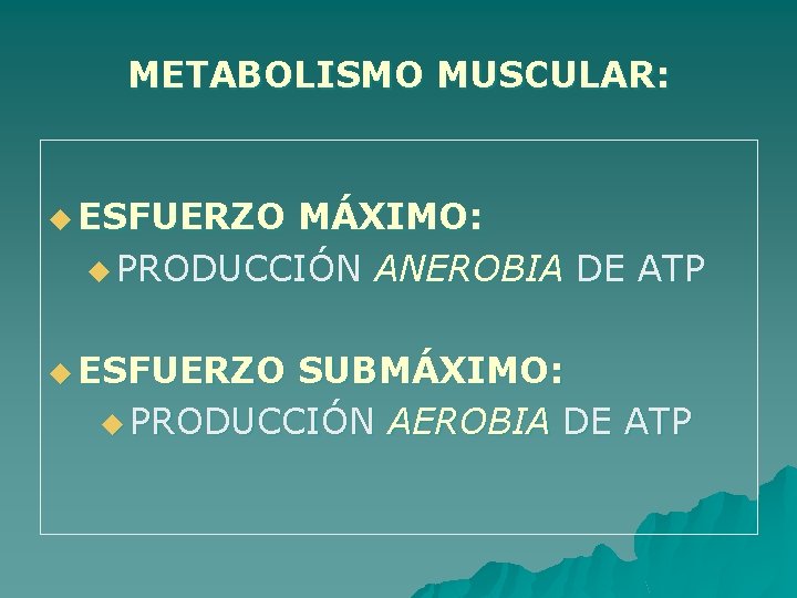 METABOLISMO MUSCULAR: u ESFUERZO MÁXIMO: u PRODUCCIÓN ANEROBIA DE ATP u ESFUERZO SUBMÁXIMO: u