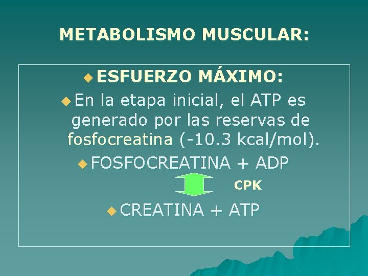 METABOLISMO MUSCULAR: u ESFUERZO MÁXIMO: u En la etapa inicial, el ATP es generado