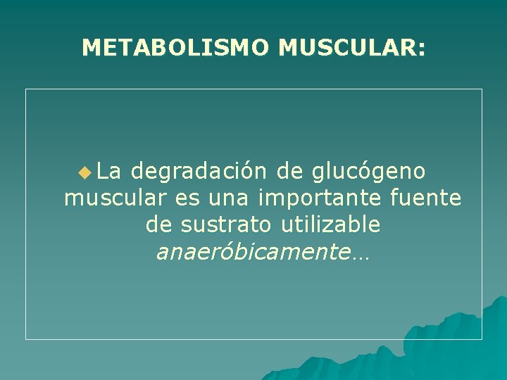 METABOLISMO MUSCULAR: u La degradación de glucógeno muscular es una importante fuente de sustrato