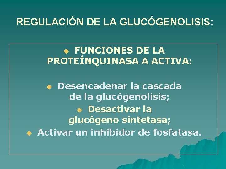 REGULACIÓN DE LA GLUCÓGENOLISIS: FUNCIONES DE LA PROTEÍNQUINASA A ACTIVA: u Desencadenar la cascada