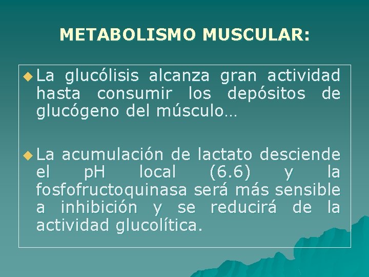 METABOLISMO MUSCULAR: u La glucólisis alcanza gran actividad hasta consumir los depósitos de glucógeno