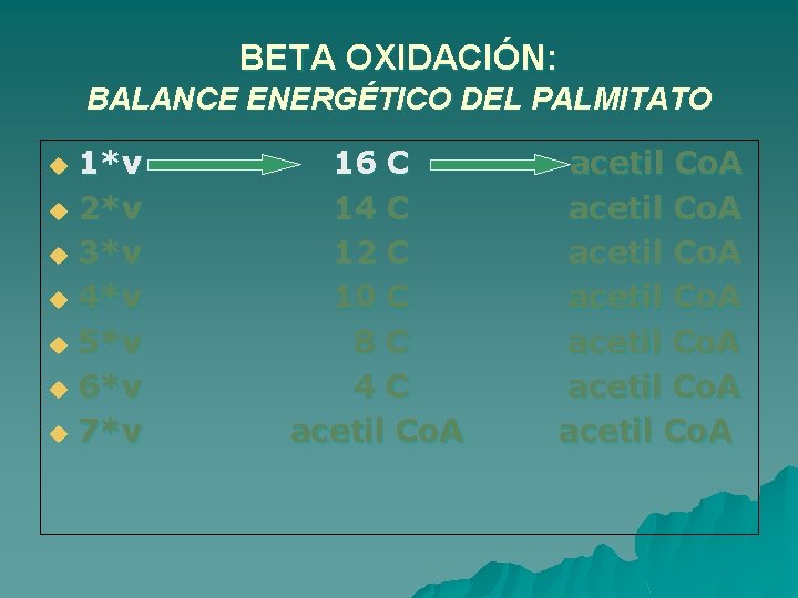 BETA OXIDACIÓN: BALANCE ENERGÉTICO DEL PALMITATO 1*v u 2*v u 3*v u 4*v u