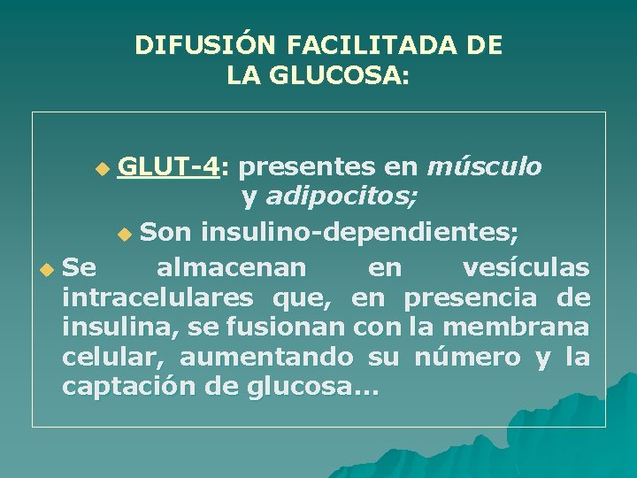 DIFUSIÓN FACILITADA DE LA GLUCOSA: GLUT-4: presentes en músculo y adipocitos; u Son insulino-dependientes;