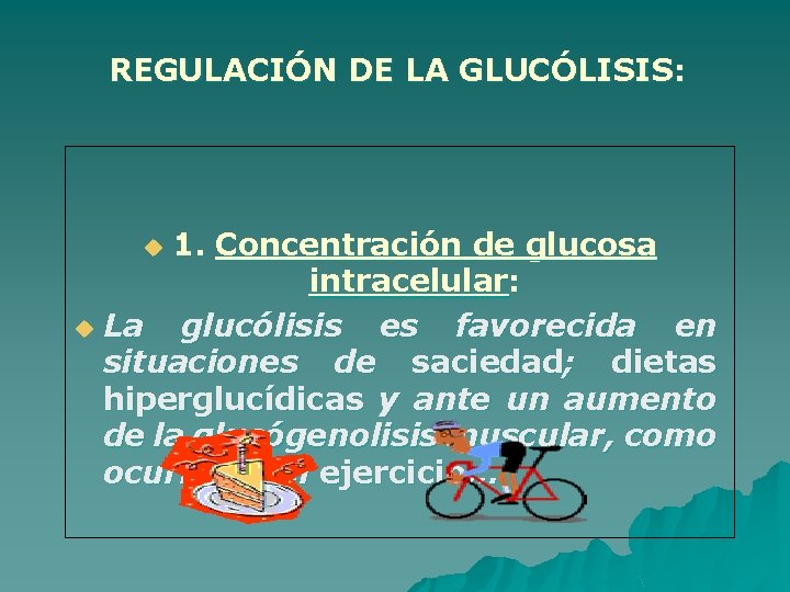 REGULACIÓN DE LA GLUCÓLISIS: 1. Concentración de glucosa intracelular: u La glucólisis es favorecida