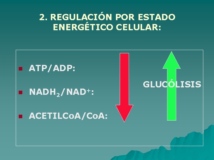 2. REGULACIÓN POR ESTADO ENERGÉTICO CELULAR: n ATP/ADP: n NADH 2/NAD+: n ACETILCo. A/Co.