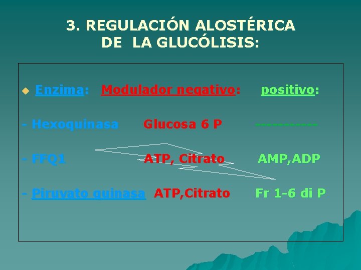 3. REGULACIÓN ALOSTÉRICA DE LA GLUCÓLISIS: u Enzima: Modulador negativo: positivo: - Hexoquinasa Glucosa