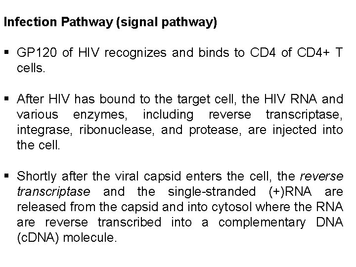 Infection Pathway (signal pathway) § GP 120 of HIV recognizes and binds to CD