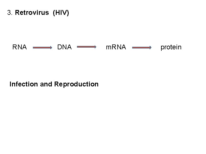 3. Retrovirus (HIV) RNA DNA Infection and Reproduction m. RNA protein 