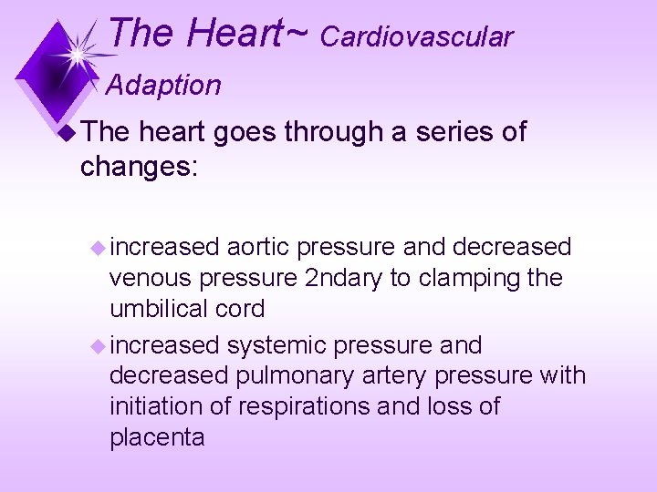 The Heart~ Cardiovascular Adaption u The heart goes through a series of changes: u