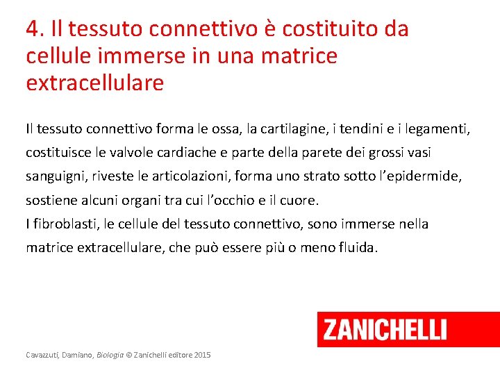 4. Il tessuto connettivo è costituito da cellule immerse in una matrice extracellulare Il