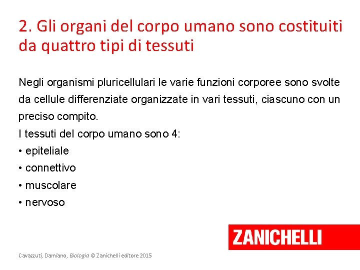 2. Gli organi del corpo umano sono costituiti da quattro tipi di tessuti Negli