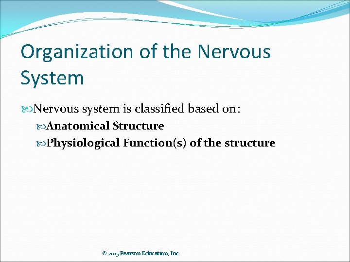 Organization of the Nervous System Nervous system is classified based on: Anatomical Structure Physiological