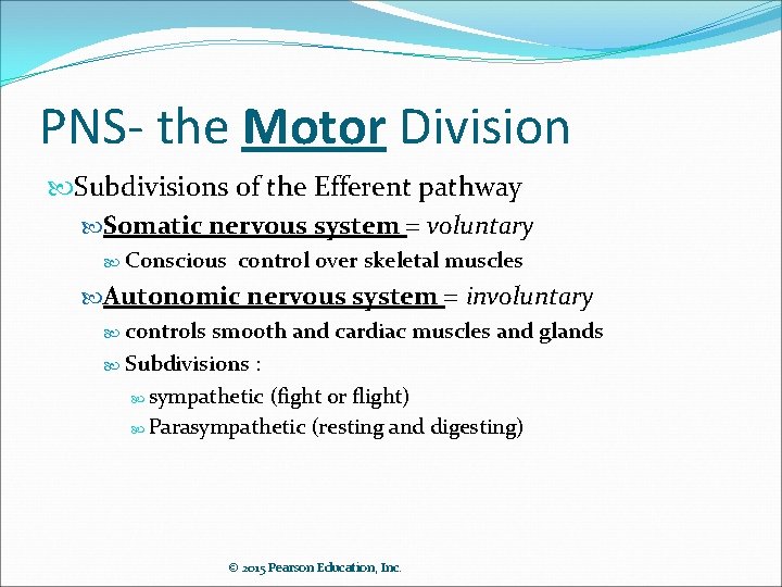 PNS- the Motor Division Subdivisions of the Efferent pathway Somatic nervous system voluntary Conscious