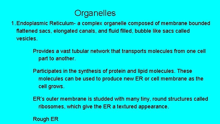 Organelles 1. Endoplasmic Reticulum- a complex organelle composed of membrane bounded flattened sacs, elongated