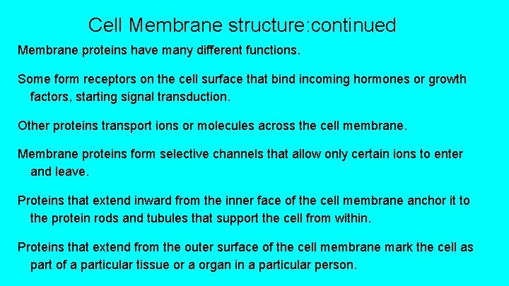 Cell Membrane structure: continued Membrane proteins have many different functions. Some form receptors on