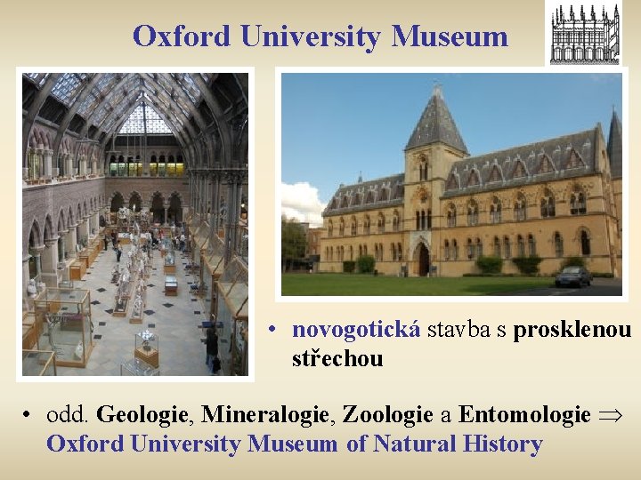 Oxford University Museum • novogotická stavba s prosklenou střechou • odd. Geologie, Mineralogie, Zoologie