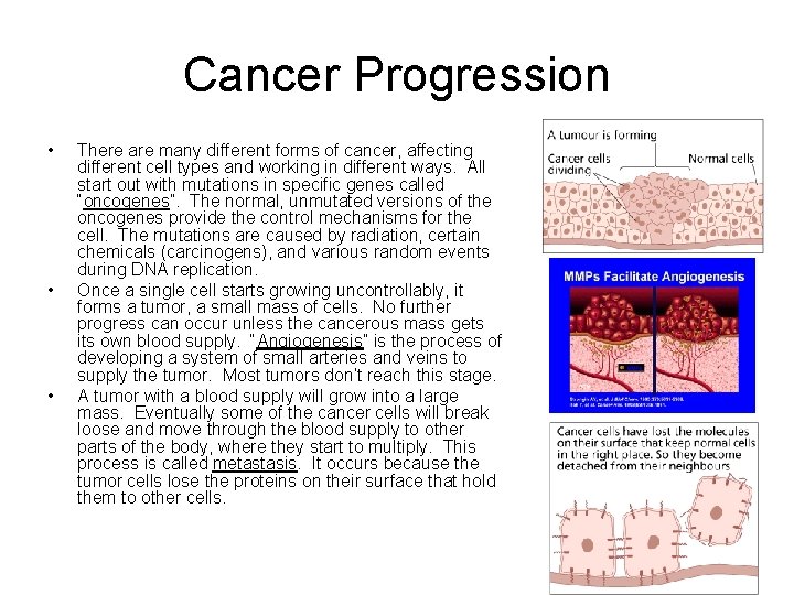 Cancer Progression • • • There are many different forms of cancer, affecting different