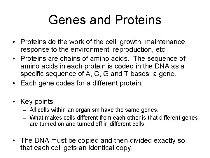 Genes and Proteins • Proteins do the work of the cell: growth, maintenance, response
