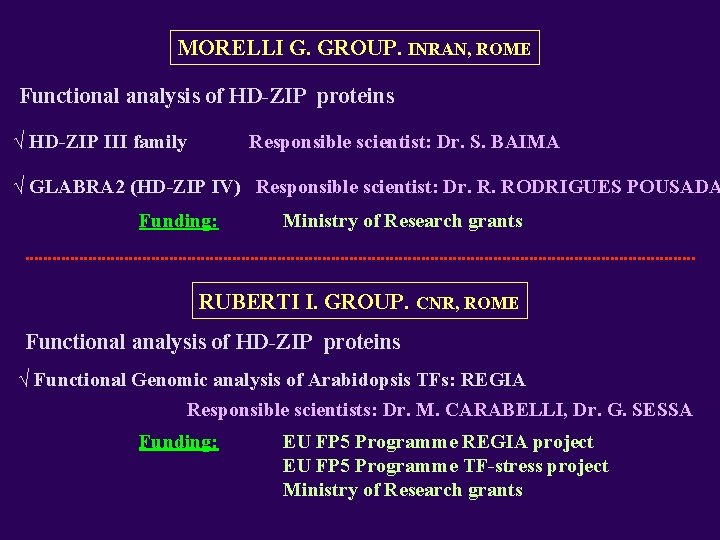 MORELLI G. GROUP. INRAN, ROME Functional analysis of HD-ZIP proteins √ HD-ZIP III family