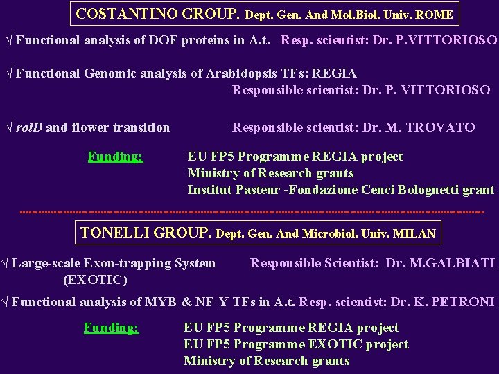 COSTANTINO GROUP. Dept. Gen. And Mol. Biol. Univ. ROME √ Functional analysis of DOF