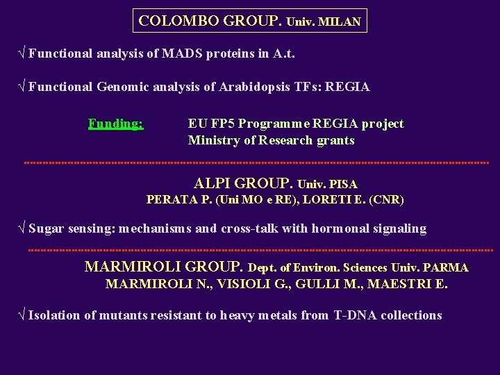 COLOMBO GROUP. Univ. MILAN √ Functional analysis of MADS proteins in A. t. √