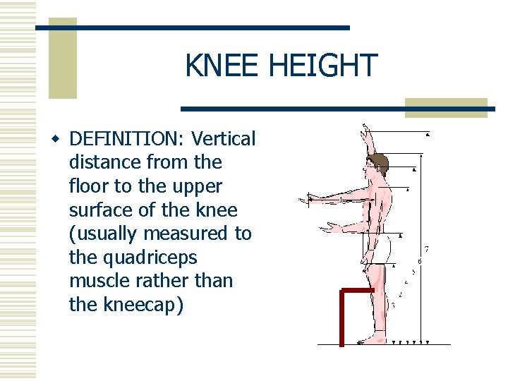 LIST OF BODY DIMENSIONS ANTHROPOMETRY w It is