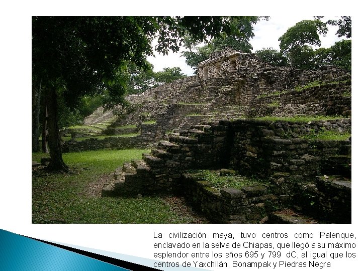 La civilización maya, tuvo centros como Palenque, enclavado en la selva de Chiapas, que