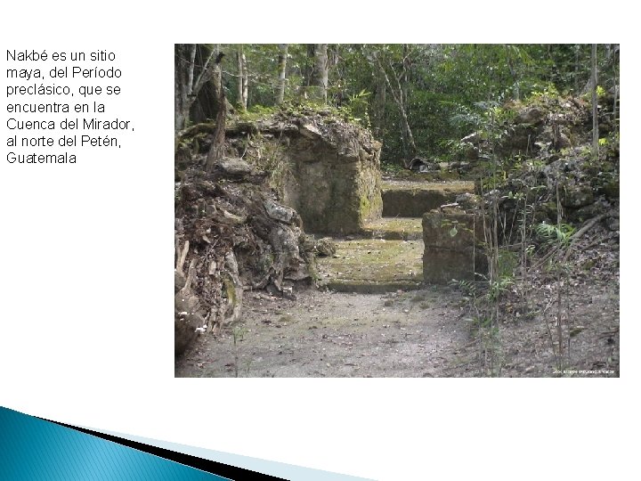 Nakbé es un sitio maya, del Período preclásico, que se encuentra en la Cuenca
