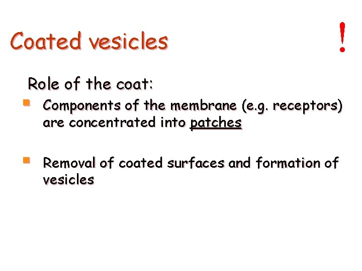 Coated vesicles ! Role of the coat: § Components of the membrane (e. g.