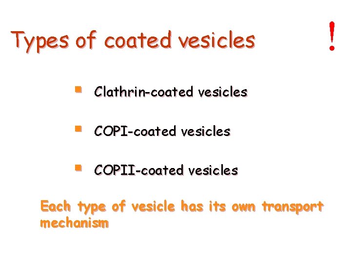 Types of coated vesicles § Clathrin-coated vesicles § COPII-coated vesicles Each type of vesicle