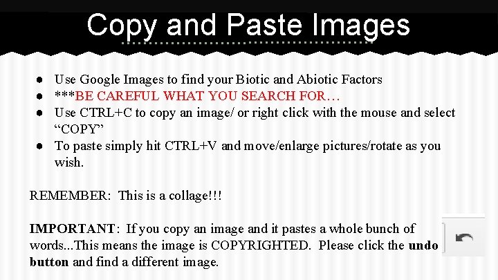 Copy and Paste Images ● Use Google Images to find your Biotic and Abiotic