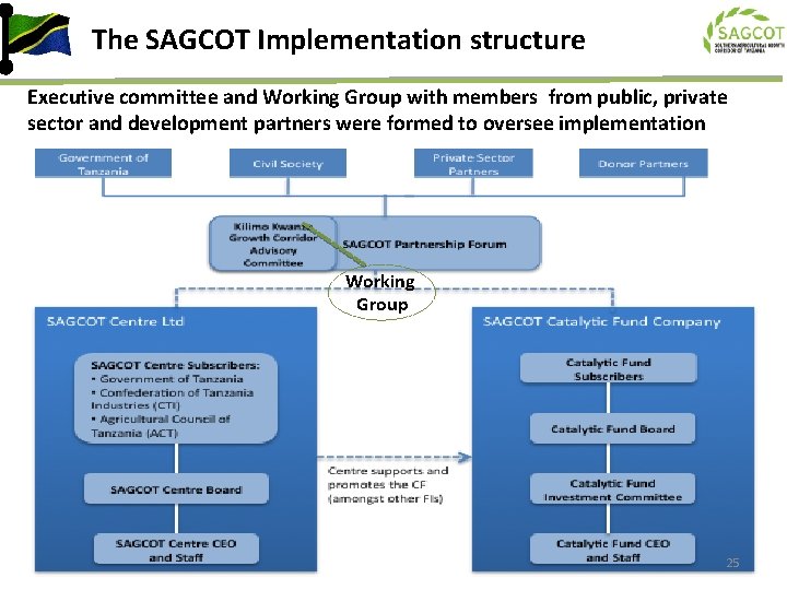 The SAGCOT Implementation structure Executive committee and Working Group with members from public, private