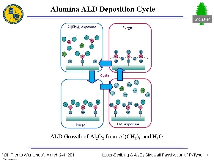 Alumina ALD Deposition Cycle ALD Growth of Al 2 O 3 from Al(CH 3)3