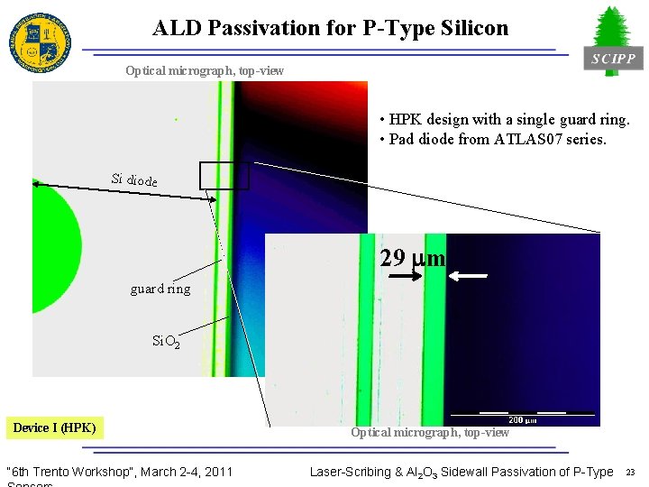 ALD Passivation for P-Type Silicon Optical micrograph, top-view • HPK design with a single