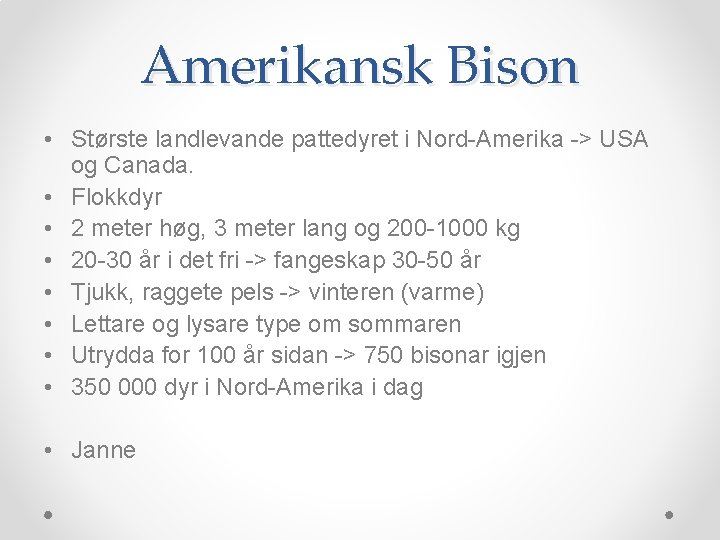 Amerikansk Bison • Største landlevande pattedyret i Nord-Amerika -> USA og Canada. • Flokkdyr