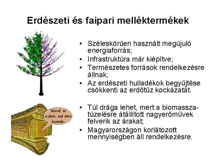 Erdészeti és faipari melléktermékek • Széleskörűen használt megújuló energiaforrás; • Infrastruktúra már kiépítve; •