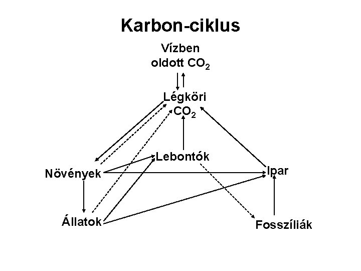 Karbon-ciklus Vízben oldott CO 2 Légköri CO 2 Lebontók Növények Állatok Ipar Fosszíliák 